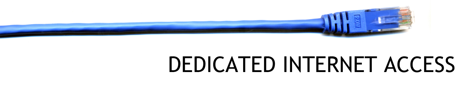 blue ethernet cable